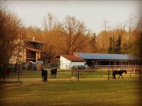 Cameloth B&B - B&B