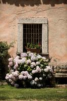 Agriturismo Casteddu - Bed and Breakfast Padru