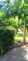 Nikos Holidays House - B&B