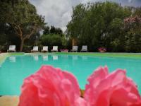 Masseria Pugliese Farm - B&B Ostuni
