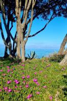 Maison U nidu à 500m de la mer - B&B Cervione