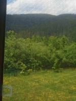 Green House 2 уч ФАЛЬЧІ ВУЛ ПЕРШОГО ТРАВНЯ БУД 5 - Bed and Breakfast Mykulychyn