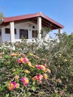 Apartmani Toni - Kućica - B&B