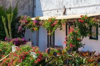 il Pettirosso in Positano - B&B Positano