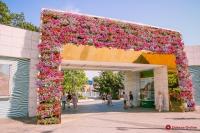 Апартаменты 1 в новом доме возле парка и моря - B&B Odesa