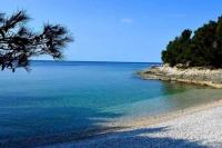 Apartment Damir 50 meters from the beach - B&B Pola