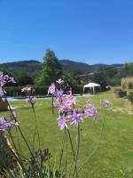 Alba Morus Bed & Breakfast sentiti a casa nel cuo - B&B Arezzo