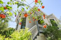 Garden Level Flat in 1885 Queen Anne Victorian Cottage in Alameda - B&B Alameda