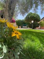 Chez Gigì mareh24 - B&B Terrasini