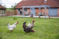 The Cowshed Port Lympne - B&B Hythe