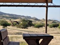 Safari Luxury Accommodation