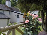 B&B Strete - Frogwell - Bed and Breakfast Strete