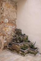 Tufoletto Apartment - B&B Palermo