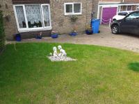 Home from home Single or double room Netflix or Virgin TV Wifi & free parking - Bed and Breakfast