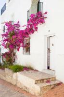 La Casa de Alicia - B&B
