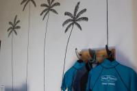Salty Jackal Surf Camp - Bed and Breakfast
