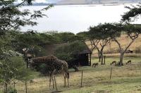 Hoopoe log cabin - B&B Albert Falls