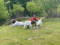 Apartment I&M - B&B Plitvička Jezera