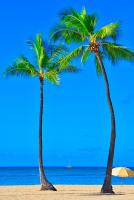 Gone 2 Florida Vacation Homes - Bed and Breakfast Orlando