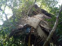 Casa del árbol