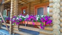 Private Villa 4 Seasons - Bed and Breakfast Berehove