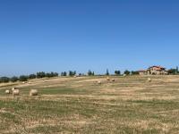 Il Poggio di Musignano - Ferienwohnung