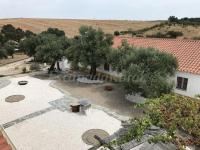 Monte Dos Vicentes - B&B