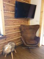 Izba w centrum miasta - B&B