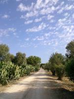 Appartement 1 Chambre - Annexe