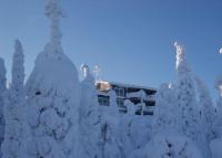 The Peak House - B&B