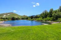 Among the Wildflowers - B&B Sun Valley
