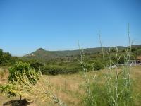 Nuit calme sur domaine - B&B Calcatoggio