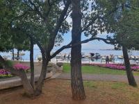 Appartement met 2 slaapkamers