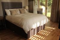 Double Room with Terrace (Pet-friendly)