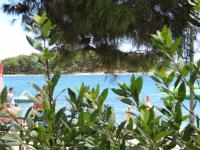 Beachfront Rooms & Apartments - B&B