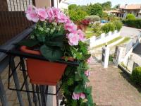 Apartment mit 2 Schlafzimmern