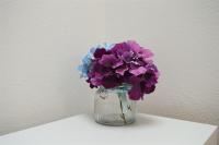 Appartement - Vue sur Jardin