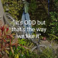 Vincentia Odd Cottage ( self catering) - B&B East London