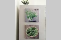 - SweetHome Lisbon, sinta-se em casa - - Chambres d’hôtes Lisbonne