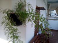 Mediterranean Stars 2 APARTMENT - B&B Peraía