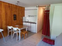 Studio 4 personnes centre Superbesse - Bed and Breakfast