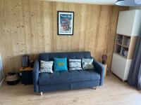Location studio plein centre Les Carroz - Ferienwohnung