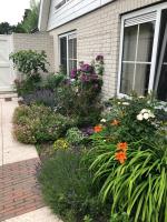 Lonestar Appartement - Bed and Breakfast