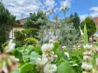 Apartment mit Gartenblick