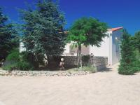 Lavender House - B&B