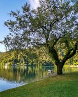 Casa Alberta - B&B Pieve di Ledro