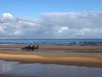 Maison proche Omaha Beach vue imprenable sur haras - Chambres d’hôtes