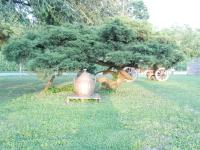 R&B Locanda Le Bighe - Bed and Breakfast Cona