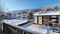 APPARTEMENT LUMINEUX AVEC 2 BALCONS - MORZINE - 6 PERSONNES - NANTAUX 17 B - B&B