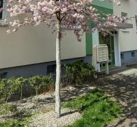 Schöne kleine Wohnung - B&B Cottbus